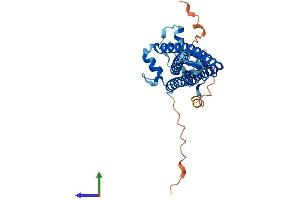 AlphaFold protein structure predicition of Human Recombinant ZDHHC7 Protein, UniprotID Q9NXF8
