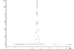 The purity of Mouse CD300A is greater than 95 % as determined by SEC-HPLC.