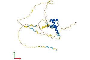 AlphaFold protein structure predicition of Human Recombinant PDX1 Protein, UniprotID P52945