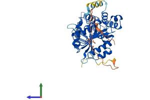 AlphaFold protein structure predicition of Human Recombinant NDRG4 Protein, UniprotID Q9ULP0