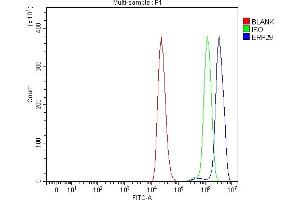 Flow Cytometry analysis of THP-1 cells using anti-ERP29 antibody (ABIN7601342).