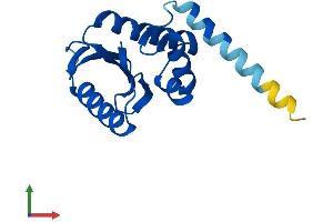 AlphaFold protein structure predicition of Human Recombinant AP1S3 Protein, UniprotID Q96PC3