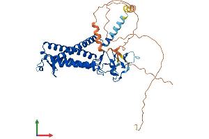 AlphaFold protein structure predicition of Human Recombinant ZDHHC11 Protein, UniprotID Q9H8X9