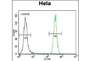 HS Antibody (ABIN388133 and ABIN2846370) flow cytometric analysis of Hela cells (right histogram) compared to a negative control cell (left histogram). (GRP78 anticorps)
