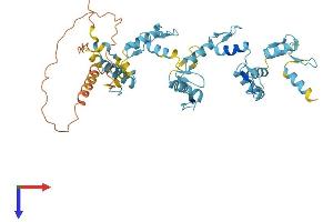AlphaFold protein structure predicition of Human Recombinant ZNF222 Protein, UniprotID Q9UK12