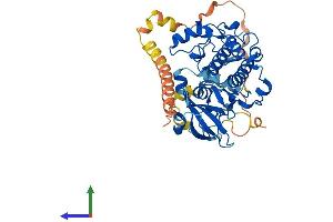 AlphaFold protein structure predicition of Mouse Recombinant Sgk1 Protein, UniprotID Q9WVC6