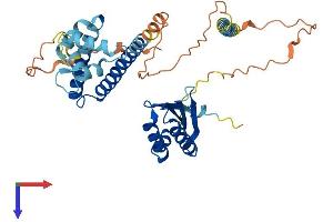 AlphaFold protein structure predicition of Human Recombinant NECAB3 Protein, UniprotID Q96P71