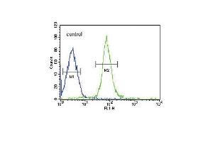 HP Antibody (Center) (ABIN652875 and ABIN2842566) flow cytometric analysis of HepG2 cells (right histogram) compared to a negative control cell (left histogram).