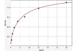 Heat Shock 70kDa Protein 5 (Glucose-Regulated Protein, 78kDa) (HSPA5) ELISA Kit