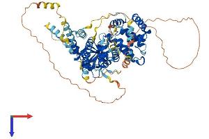 AlphaFold protein structure predicition of Mouse Recombinant Arhgap18 Protein, UniprotID Q8K0Q5