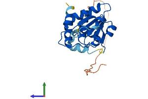 AlphaFold protein structure predicition of Human Recombinant DUSP26 Protein, UniprotID Q9BV47