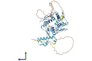 AlphaFold protein structure predicition of Human Recombinant ZNF649 Protein, UniprotID Q9BS31