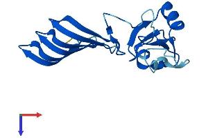 AlphaFold protein structure predicition of Human Recombinant MORN5 Protein, UniprotID Q5VZ52