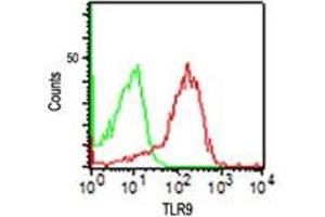 TLR9 Flow Cytometry Flow Cytometry of Mouse Anti-TLR9 antibody. (TLR9 anticorps)