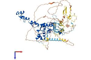 AlphaFold protein structure predicition of Human Recombinant FBXO30 Protein, UniprotID Q8TB52