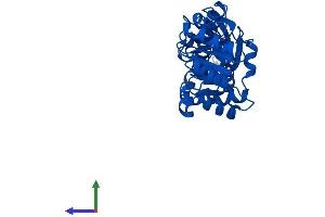 AlphaFold protein structure predicition of Human Recombinant QPRT Protein, UniprotID Q15274