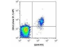 Flow Cytometry (FACS) image for anti-CD1d Molecule (CD1D) antibody (APC) (ABIN2657008) (CD1d anticorps  (APC))