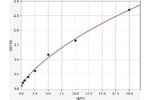 Typical standard curve (KCND3 Kit ELISA)