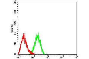Flow cytometric analysis of HL-60 cells using CD10 mouse mAb (green) and negative control (red).