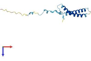 AlphaFold protein structure predicition of Mouse Recombinant Tmem230 Protein, UniprotID Q8CIB6