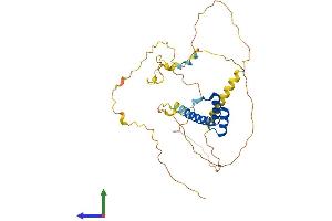 AlphaFold protein structure predicition of Human Recombinant HOXD11 Protein, UniprotID P31277