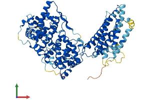 AlphaFold protein structure predicition of Human Recombinant ERMARD Protein, UniprotID Q5T6L9