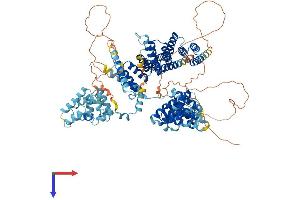 AlphaFold protein structure predicition of Human Recombinant SPAG1 Protein, UniprotID Q07617