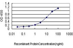 Detection limit for recombinant GST tagged SCAMP3 is approximately 0. (SCAMP3 anticorps  (AA 70-169))