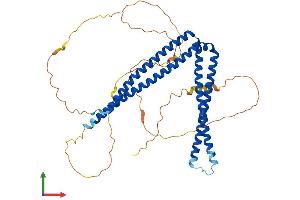 AlphaFold protein structure predicition of Human Recombinant SH3BP5 Protein, UniprotID O60239