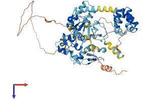 AlphaFold protein structure predicition of Mouse Recombinant Birc3 Protein, UniprotID O08863