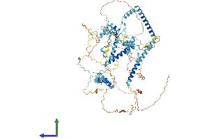 AlphaFold protein structure predicition of Mouse Recombinant Sart1 Protein, UniprotID Q9Z315