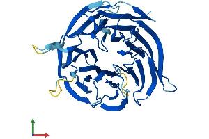 AlphaFold protein structure predicition of Human Recombinant WDR54 Protein, UniprotID Q9H977