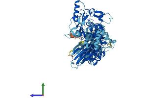 AlphaFold protein structure predicition of Mouse Recombinant Capn9 Protein, UniprotID Q9D805
