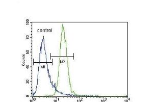 PRK (Thr172) Antibody (Center) (ABIN654800 and ABIN2844475) flow cytometric analysis of K562 cells (right histogram) compared to a negative control cell (left histogram).