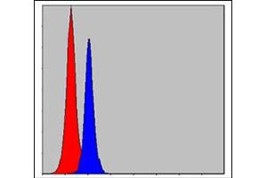 Flow cytometric analysis of MCF-7 cells using CEBPB monoclonal antibody, clone 3H9  (blue) and negative control (red).