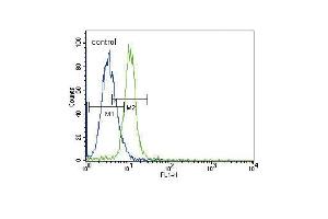JAK2 Antibody (C-term) (ABIN387982 and ABIN2844820) flow cytometric analysis of K562 cells (right histogram) compared to a negative control (PBS alone) (left histogram).