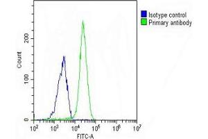 Overlay histogram showing A549 cells stained with (ABIN654691 and ABIN2844383) (green line).