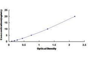 Dynamin 1 (DNM1) ELISA Kit