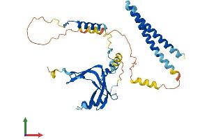 AlphaFold protein structure predicition of Human Recombinant TAF7 Protein, UniprotID Q15545