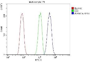 anti-Adrenoceptor alpha 1A (ADRA1A) (AA 335-373), (C-Term) antibody