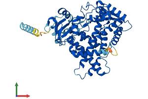 AlphaFold protein structure predicition of Mouse Recombinant Cyp2b19 Protein, UniprotID O55071