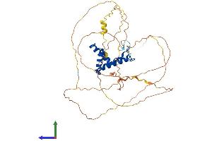 AlphaFold protein structure predicition of Mouse Recombinant Sox4 Protein, UniprotID Q06831