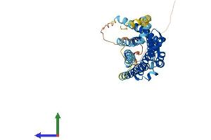 AlphaFold protein structure predicition of Human Recombinant OPRK1 Protein, UniprotID P41145