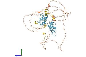 AlphaFold protein structure predicition of Mouse Recombinant Glis2 Protein, UniprotID Q8VDL9