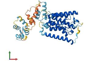 AlphaFold protein structure predicition of Mouse Recombinant Rhbdl3 Protein, UniprotID P58873