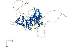 AlphaFold protein structure predicition of Human Recombinant MELK Protein, UniprotID Q14680