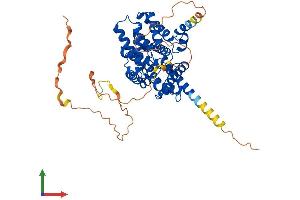 AlphaFold protein structure predicition of Human Recombinant PDE7A Protein, UniprotID Q13946