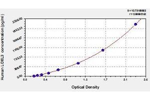 Typical standard curve (LOXL3 Kit ELISA)