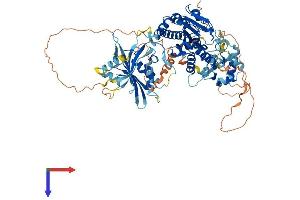 AlphaFold protein structure predicition of Human Recombinant TRMT44 Protein, UniprotID Q8IYL2