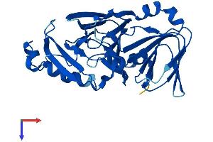 AlphaFold protein structure predicition of Human Recombinant HAAO Protein, UniprotID P46952